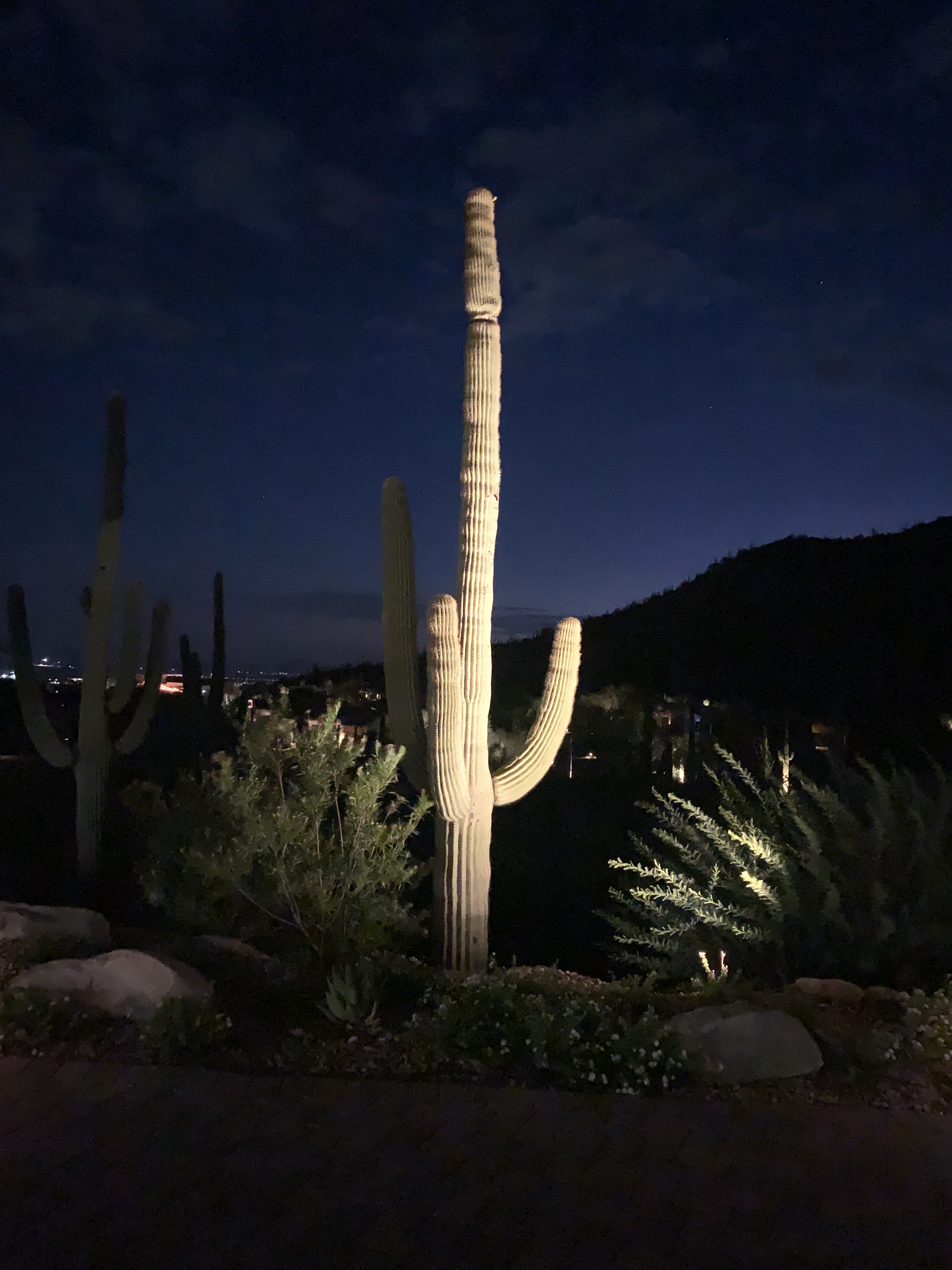 Desert landscape and rocky terrain lighting — Stone Canyon
